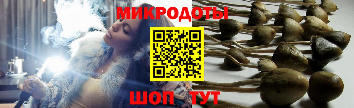 Галлюциногенные грибы Psilocybine cubensis Кушва
